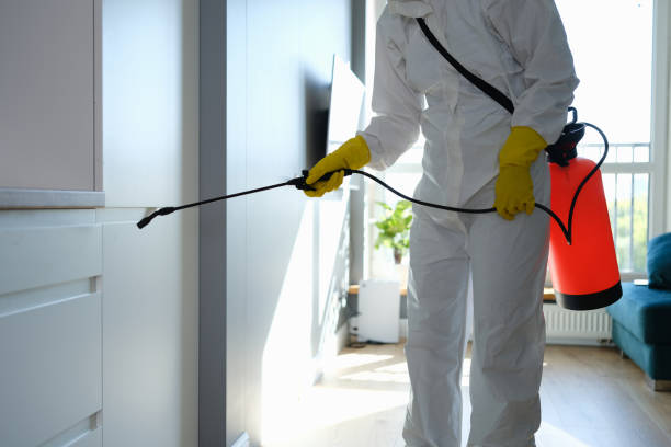 Best Mold Remediation  in Greenfield, MO